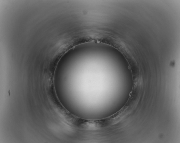 X0000092100464200709191310