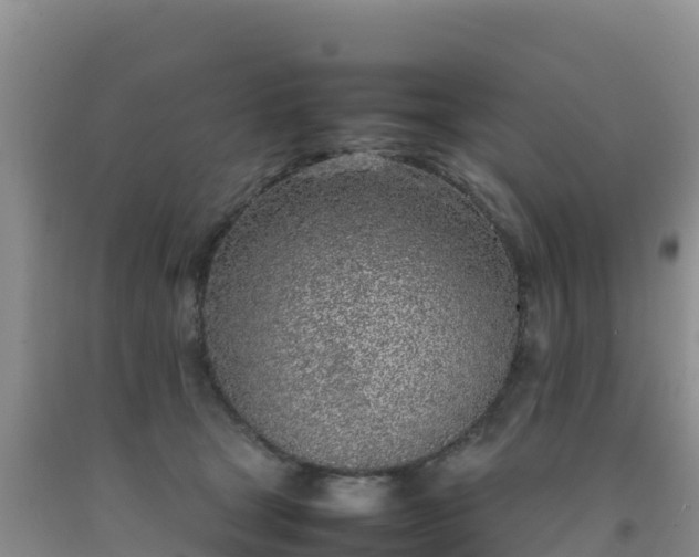 X0000092100465200709191310