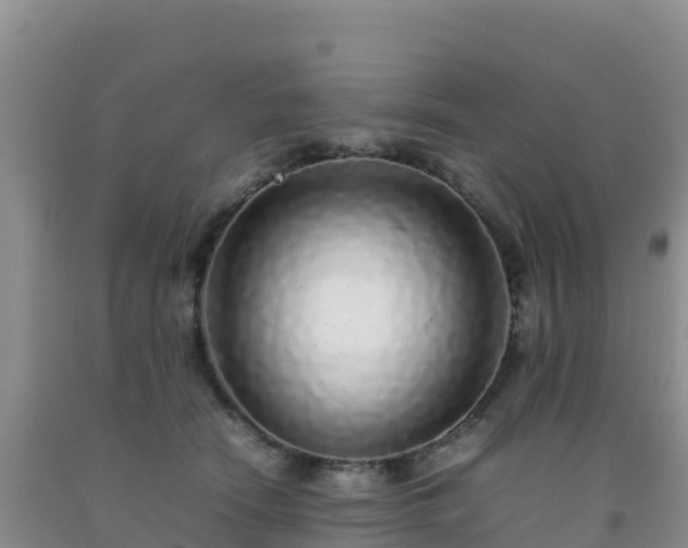 X0000092100466200709191310