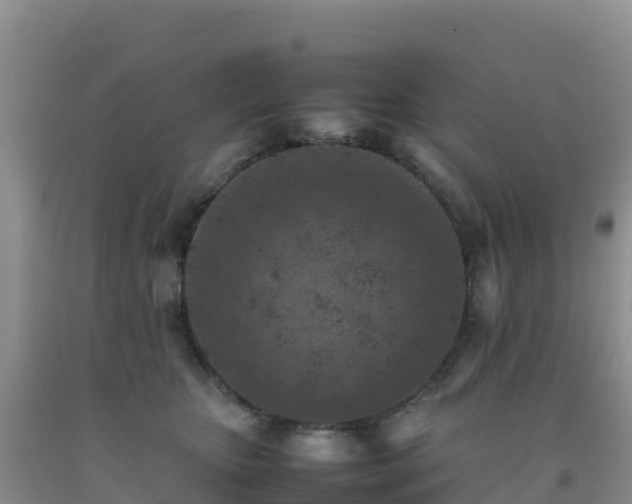 X0000092100467200709191310