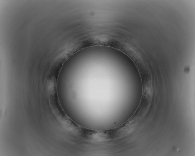 X0000092100468200709191310