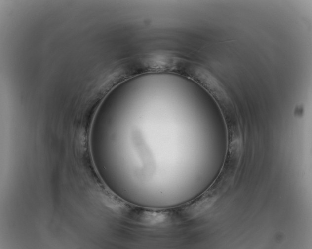 X0000092100469200709191310