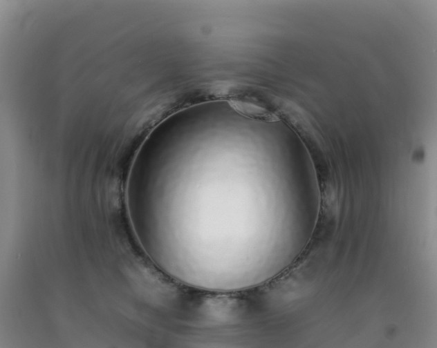 X0000092100470200709191310