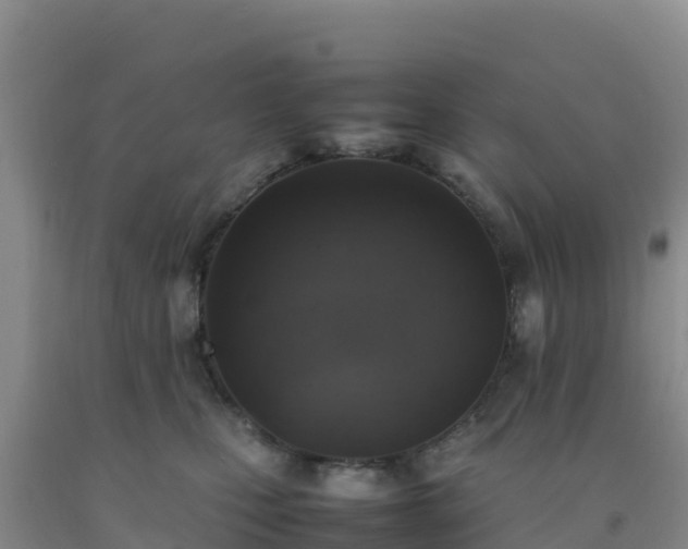 X0000092100471200709191310