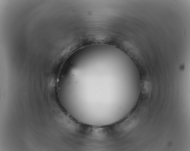 X0000092100472200709191310