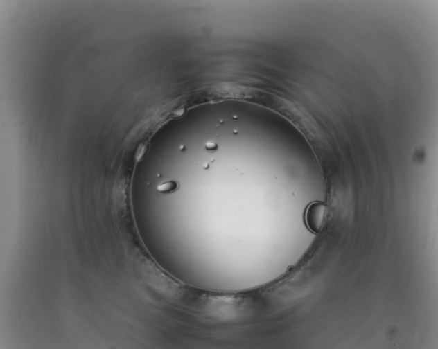 X0000092100473200709191310