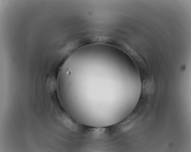 X0000092100474200709191310