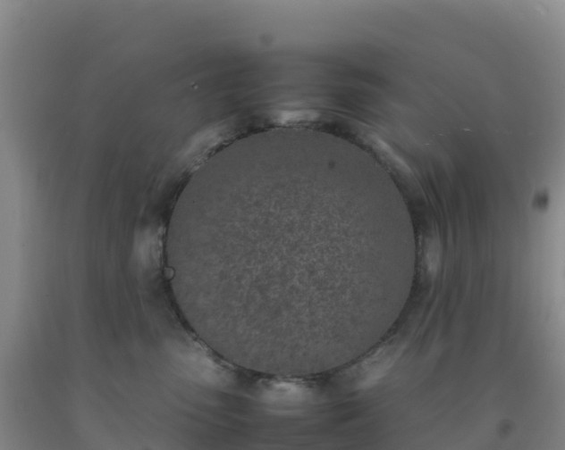 X0000092100475200709191310