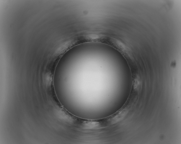 X0000092100476200709191310