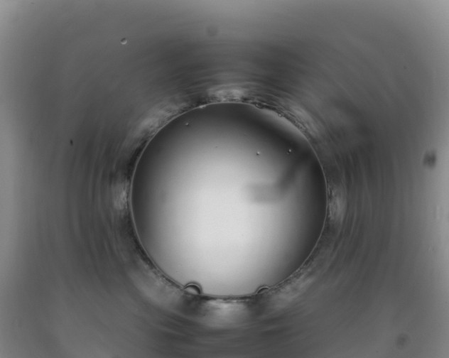 X0000092100477200709191310