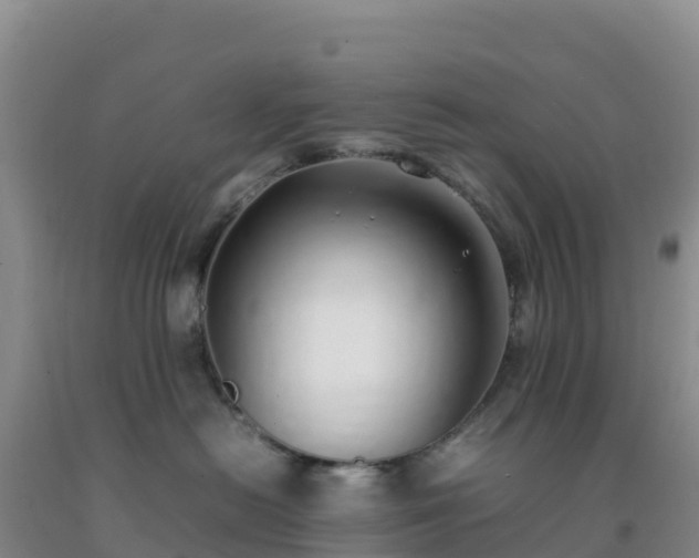 X0000092100478200709191310