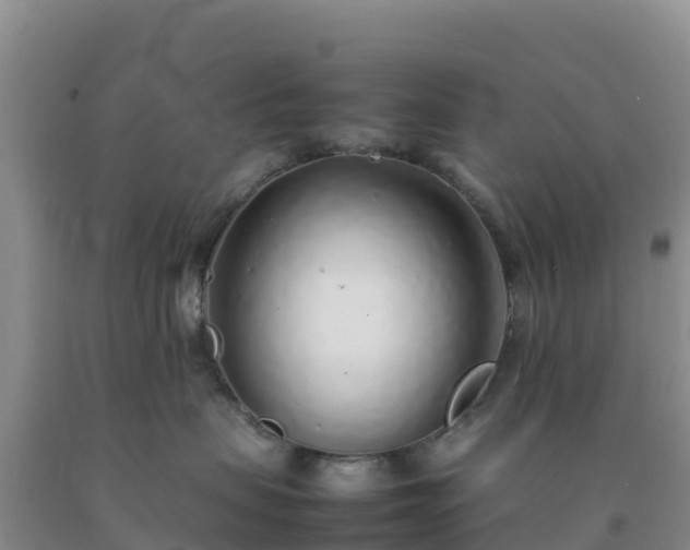 X0000092100479200709191310