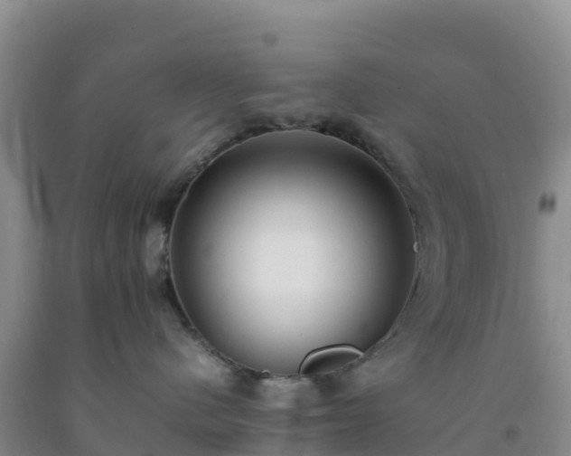 X0000092100480200709191311