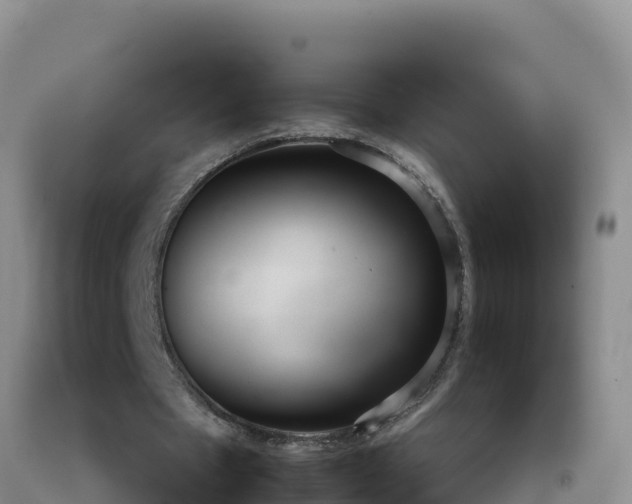 X0000092100481200709191310