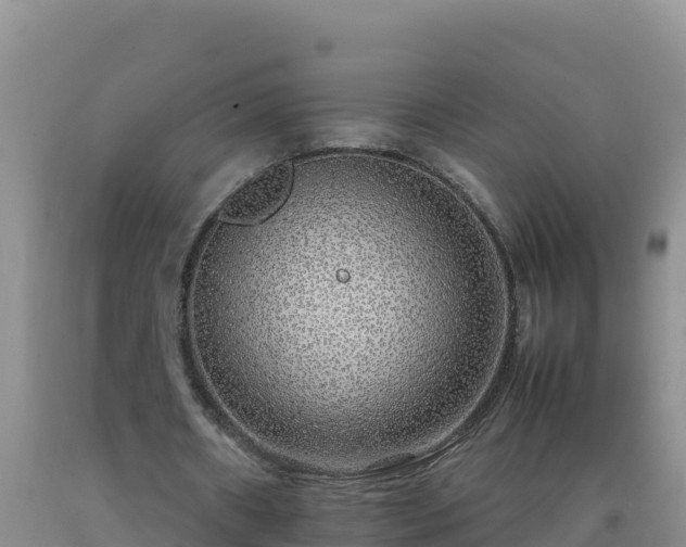 X0000092100482200709191310