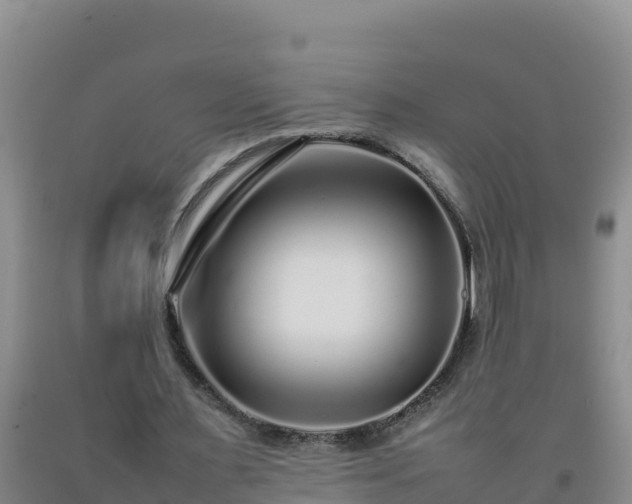 X0000092100483200709191310