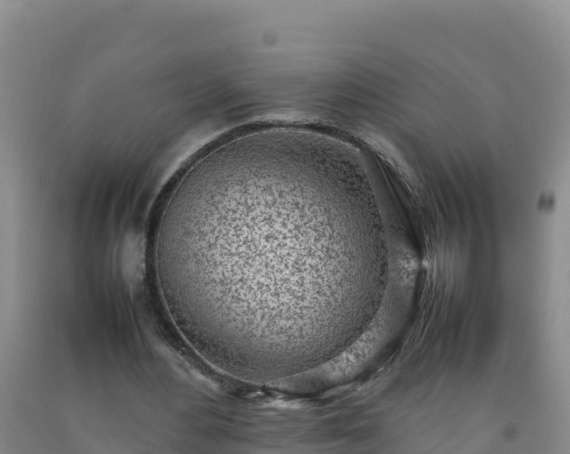 X0000092100484200709191310