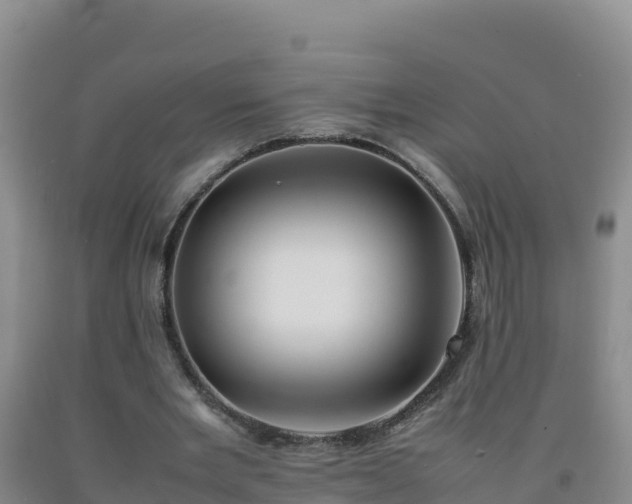 X0000092100485200709191310