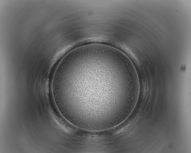 X0000092100486200709191310