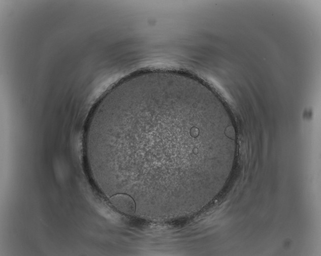 X0000092100487200709191310