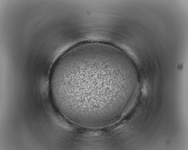 X0000092100488200709191310