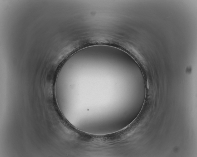 X0000092100489200709191310