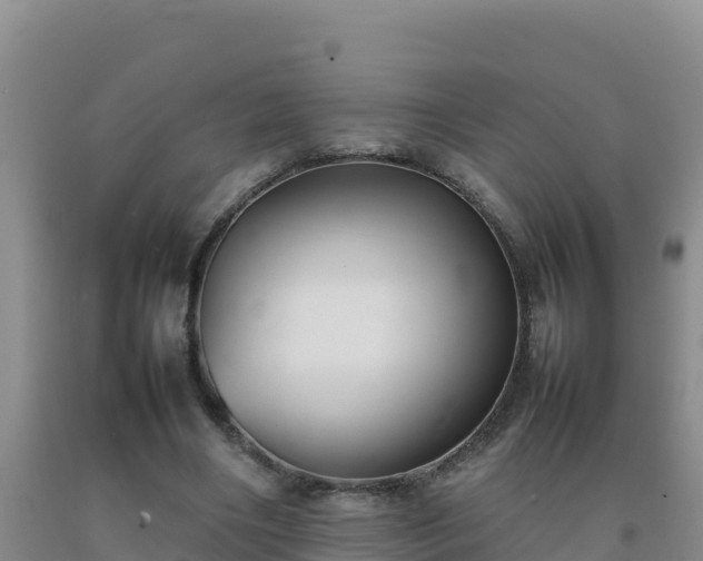 X0000092100490200709191310