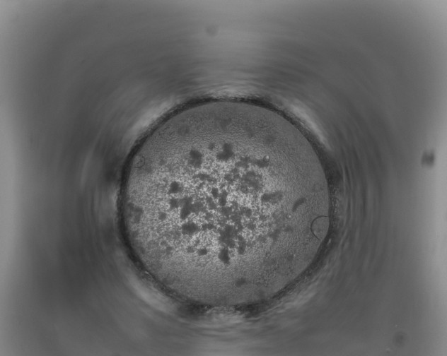 X0000092100491200709191310