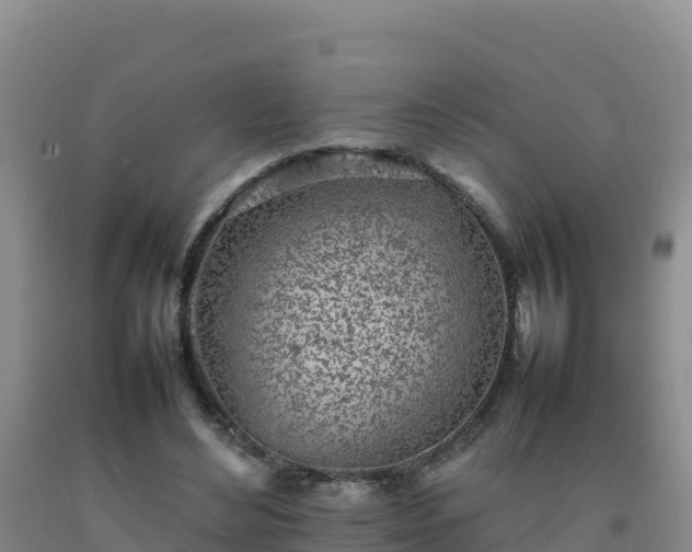 X0000092100492200709191310