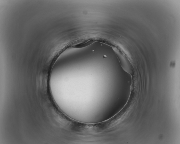 X0000092100493200709191310