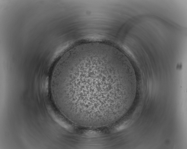 X0000092100494200709191310