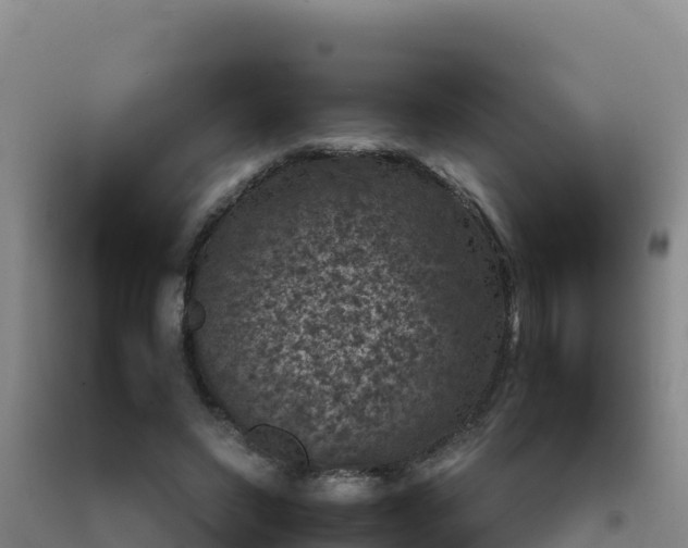 X0000092100495200709191310