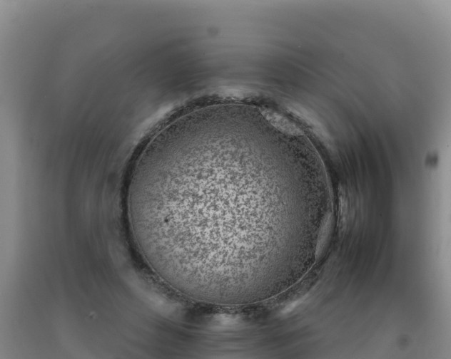 X0000092100496200709191310