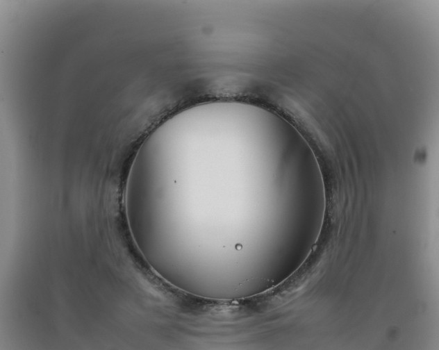 X0000092100497200709191310