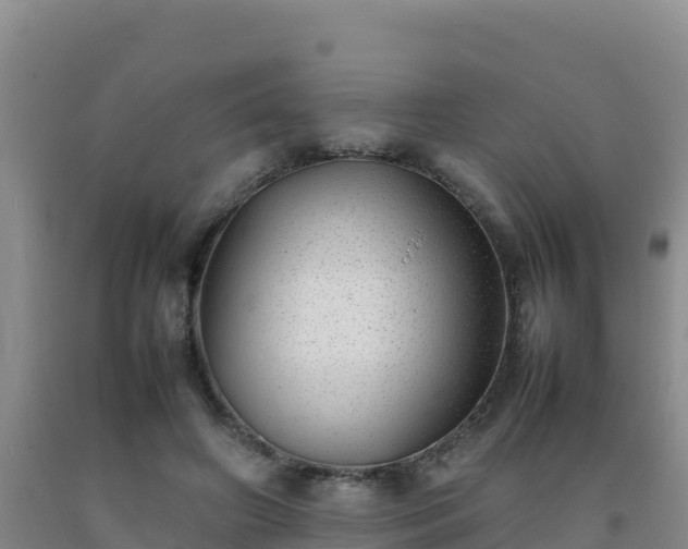 X0000092100498200709191310