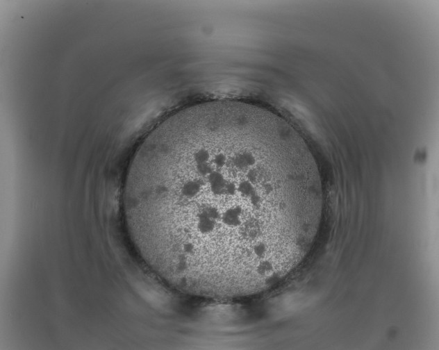 X0000092100499200709191310