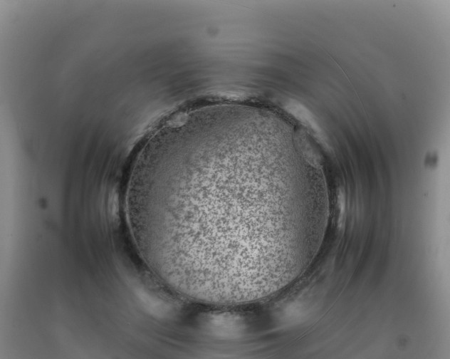 X0000092100500200709191309