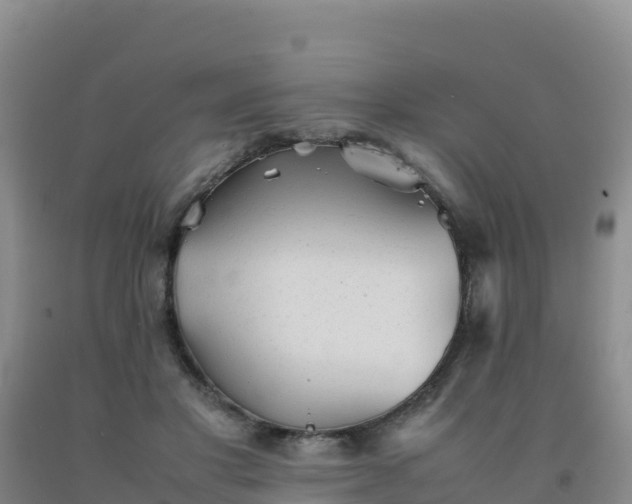 X0000092100501200709191309