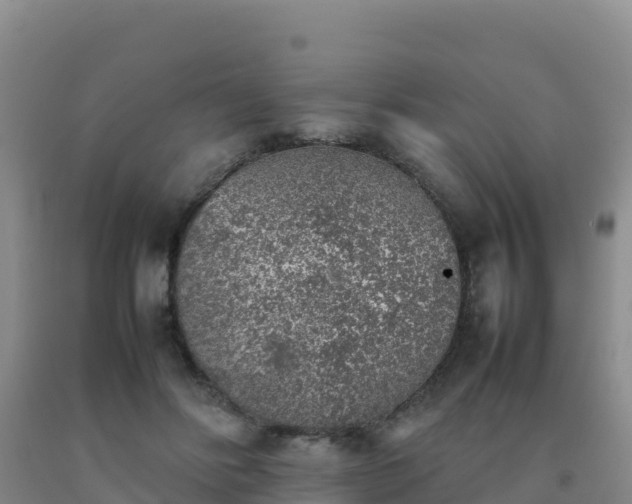 X0000092100502200709191309