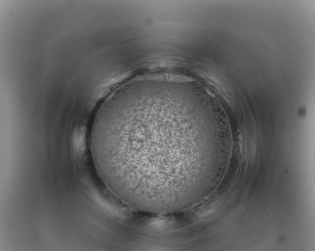 X0000092100504200709191309