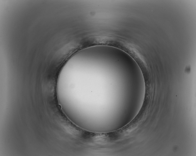 X0000092100505200709191309