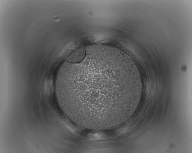 X0000092100506200709191309