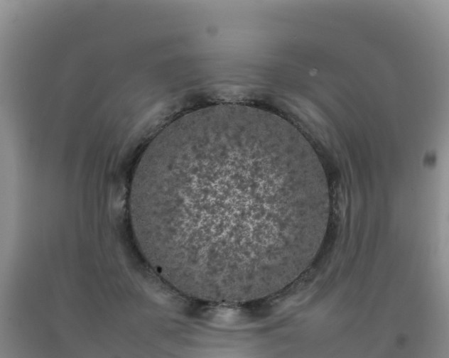 X0000092100507200709191309