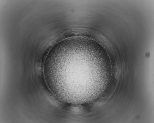 X0000092100510200709191309