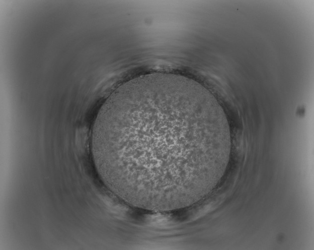 X0000092100511200709191309