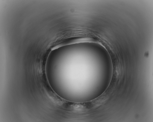 X0000092100512200709191309