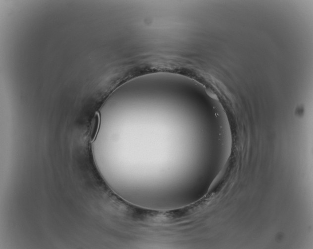 X0000092100513200709191309