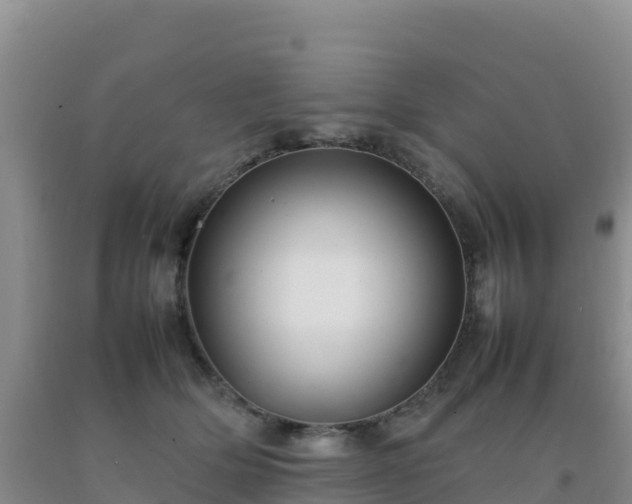 X0000092100514200709191309