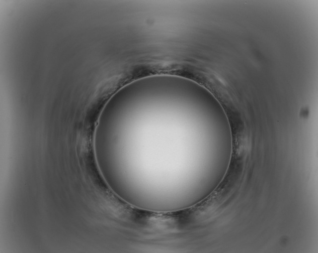 X0000092100515200709191309