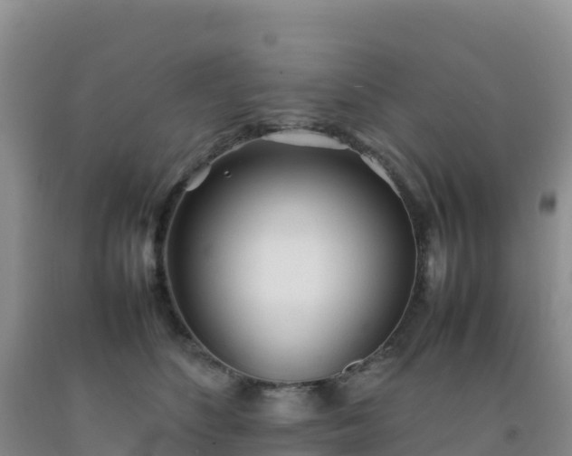 X0000092100516200709191309